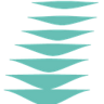 Ortivity